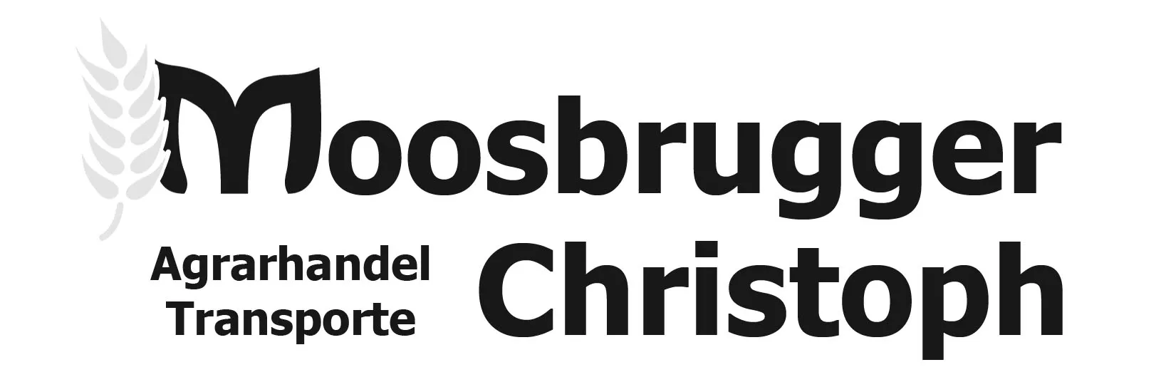 Moosbrugger Christoph, Agrarhandel, Transporte, J&B Igl Web, Igl, Paraguay, Webdesign, Grafik, Worldsoft AG